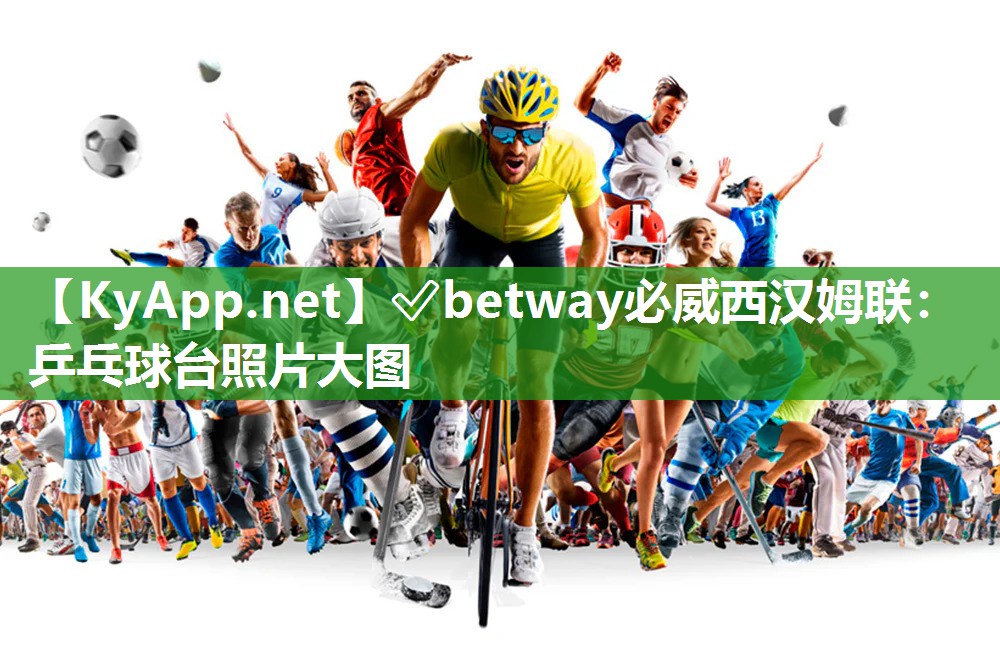 ?betway必威西漢姆聯：乒乓球臺照片大圖