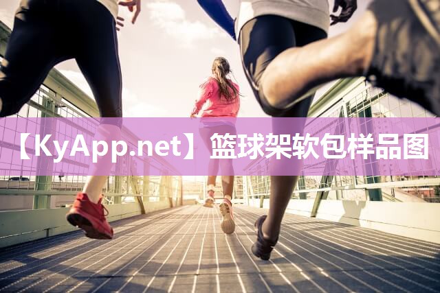 籃球架軟包樣品圖