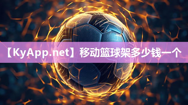 移動籃球架多少錢一個