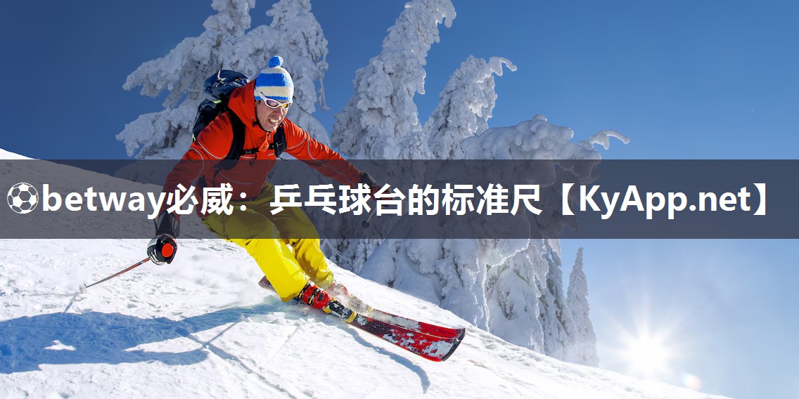乒乓球臺的標(biāo)準(zhǔn)尺
