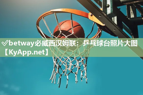 乒乓球臺照片大圖