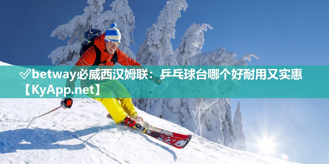 乒乓球臺(tái)哪個(gè)好耐用又實(shí)惠