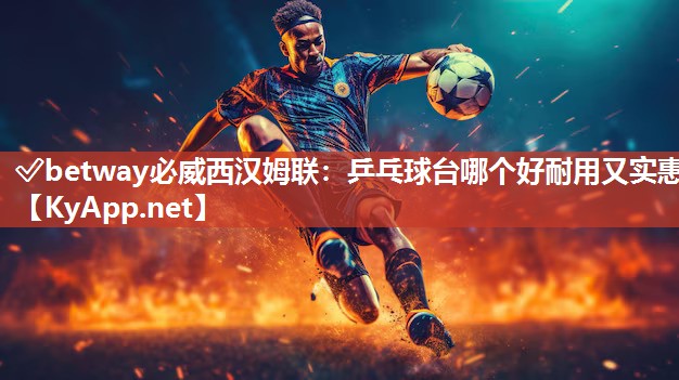 乒乓球臺(tái)哪個(gè)好耐用又實(shí)惠