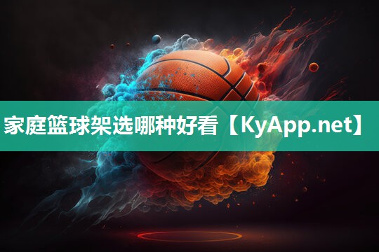家庭籃球架選哪種好看
